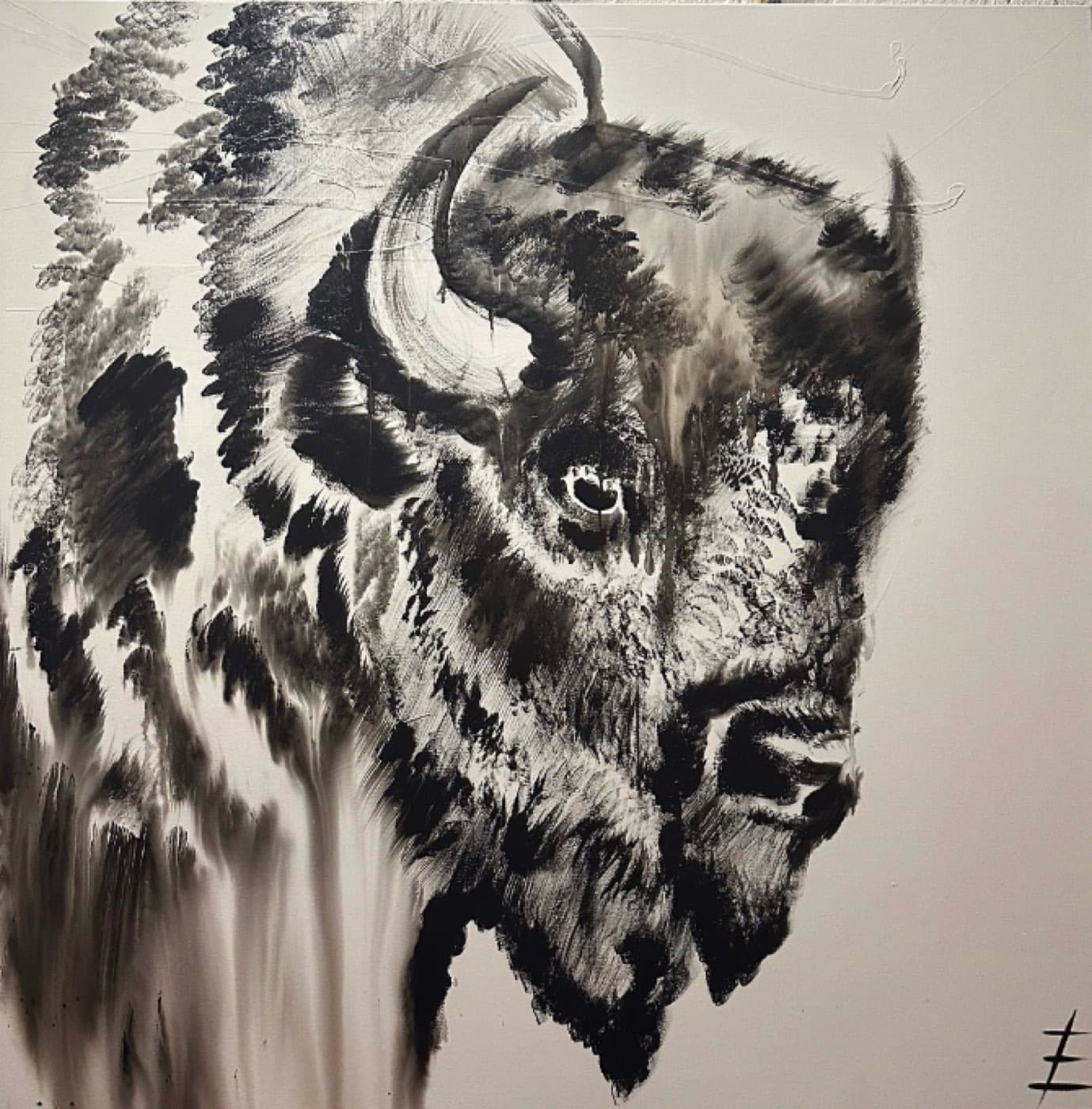 Buffalo Study